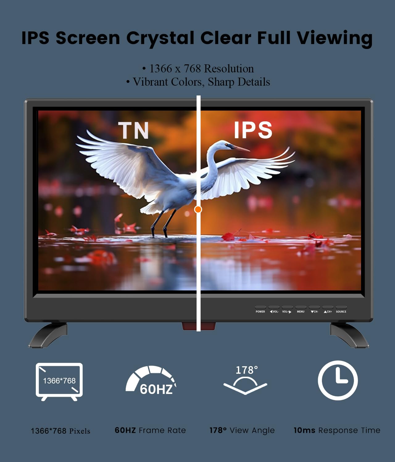 Amazon.com: Televisor LED de 19 Pulgadas de Pantalla Ancha con